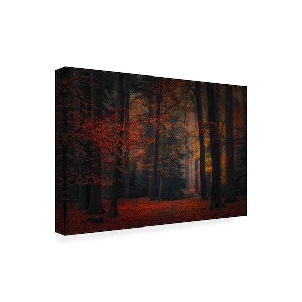 Saskia Dingemans 'Frozen In Autumn' Canvas Art,12x19